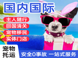 乌海国际宠物托运 【国